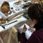 Trabajo de antropología física con restos humanos de una fosa de Villamartín en 2023.